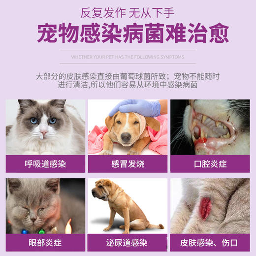 合宠头孢羟氨苄猫狗感冒鼻支呼吸道泌尿感染肾肺牙龈牙周炎脓皮症 商品图3