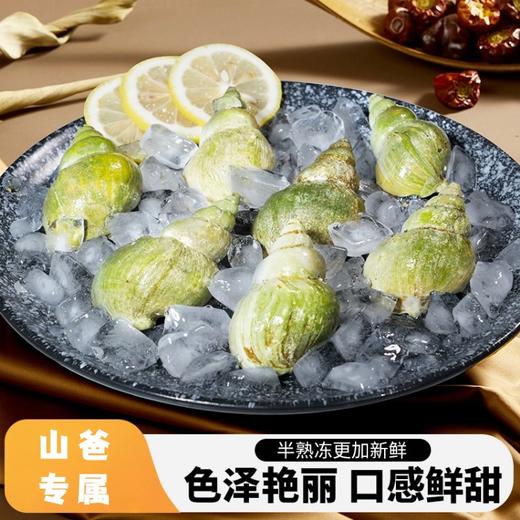 翡翠螺｜路易斯堡翡翠螺丨半熟冻丨500g/包 口感鲜甜 不花心 商品图0