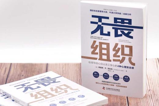 无畏组织：给领导信心且让员工安心的4种心理安全感 商品图4