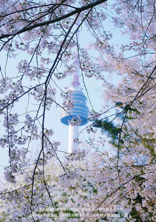 【首约韩国】 首都浪漫游5天4晚 商品图1