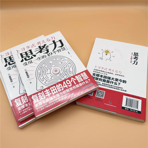 思考力：受用一生的49个智慧 商品图2