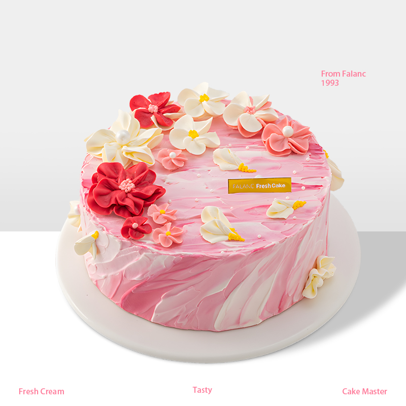 【京都樱花】在樱花雨中与你相遇