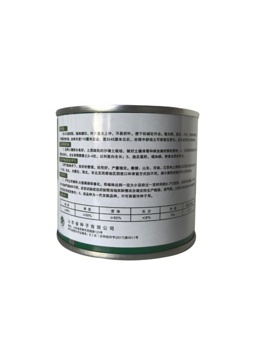 【种子】元宝藏大葱 商品图2