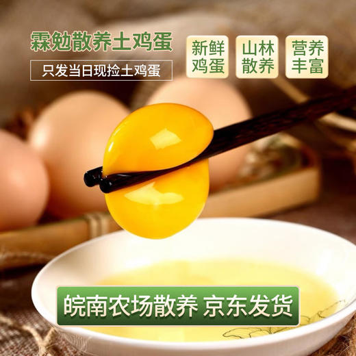 霖勉 新鲜农家散养土鸡蛋 30枚/50枚精选土鸡蛋 谷物喂养 新鲜现捡 整箱京东快递 48小时内发货 商品图0
