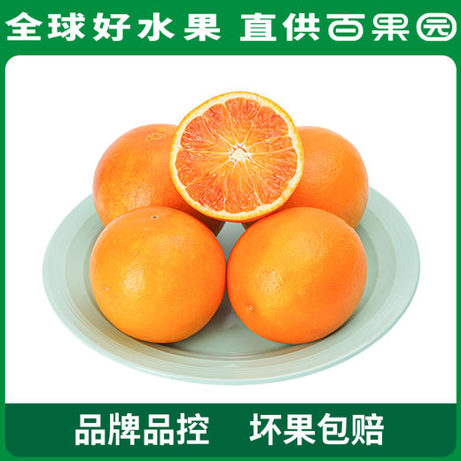 PAGODA百果园 万州玫瑰香橙（大）10斤礼盒装 商品图0