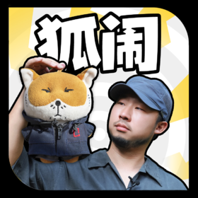 博物文创 狐主任毛绒娃娃 狐闹   藏狐 无穷小亮张辰亮同款 鉴定一下网络热门生物 和狐主任一起看世界