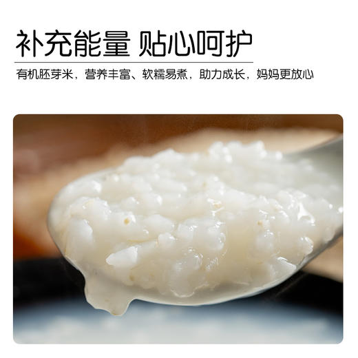 *物元农场双有机胚芽米新米东北粳米熬米油米汤杂粮粥饭胚芽粗粮|新米|全胚芽粳米 商品图6