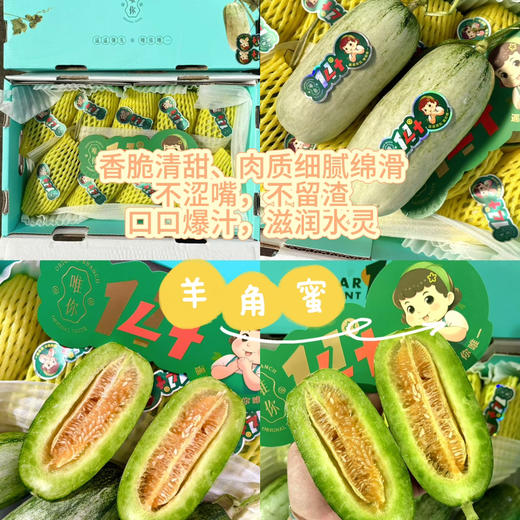 博洋9号蜜瓜 山东 羊角蜜一件6-8左右个重4斤 商品图3
