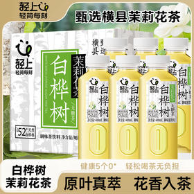 轻上白桦树茉莉花茶无糖茶饮品原茶真萃健康清爽400ml