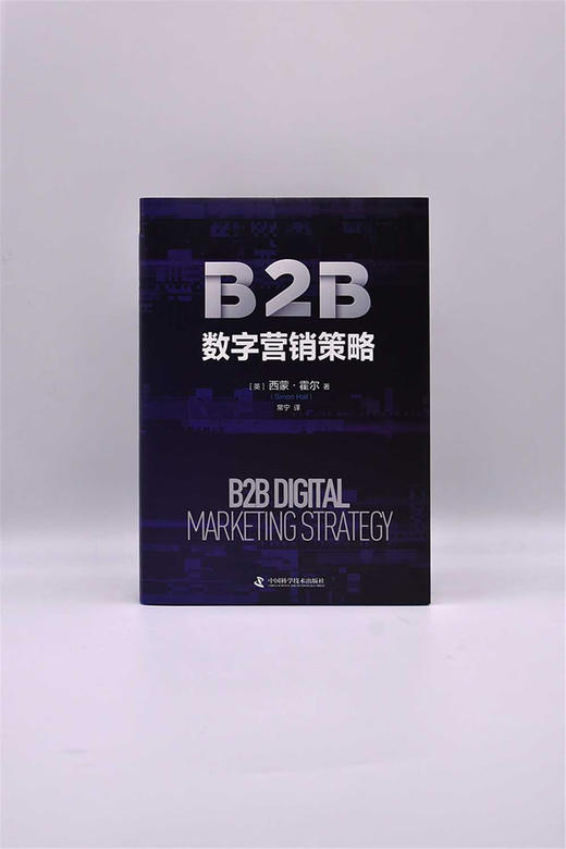 B2B数字营销策略：全链条解析数字营销的实操指南（精装典藏版） 商品图3