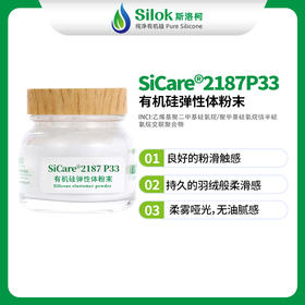SiCare®2187 P33 有机硅弹性体粉末