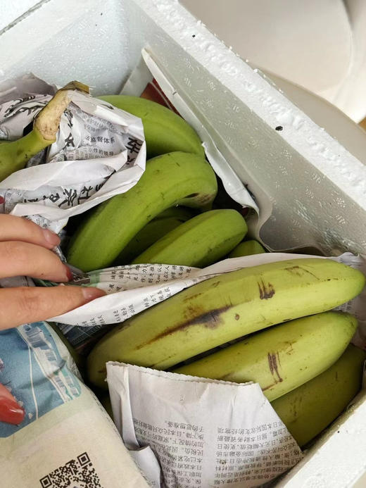 【天宝香蕉】正宗现割零添加新鲜当季水果非米蕉芭蕉红蕉 商品图4