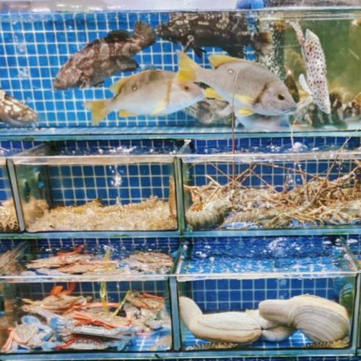 醉美岭南·广佛双城四日漫游（专车专导私家小团） 商品图13