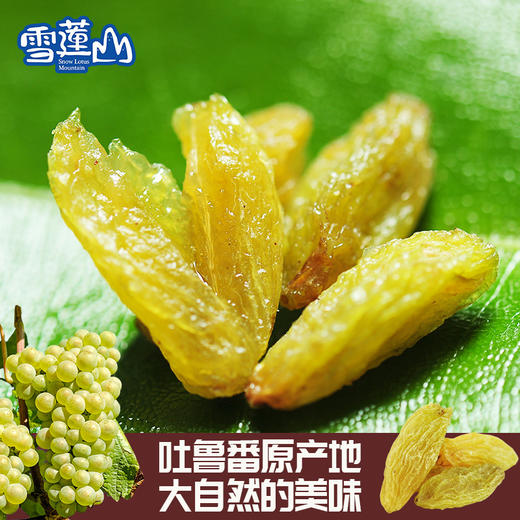 雪莲山·绿宝石葡萄干250g  碧绿晶莹 果粒均匀 商品图1