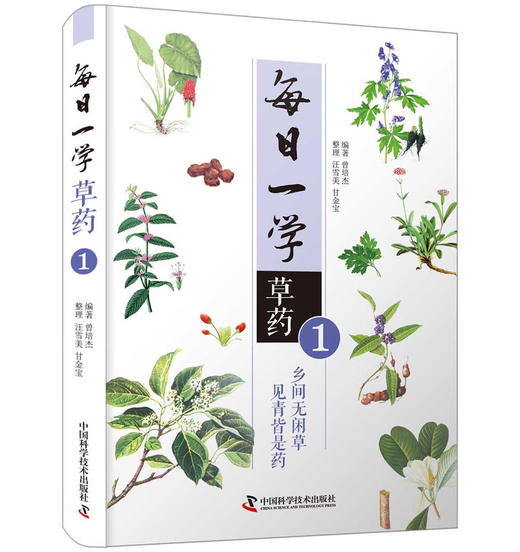 每日一学草药① 商品图0