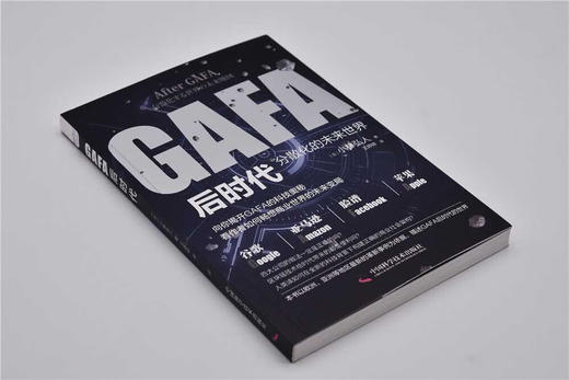 GAFA后时代：分散化的未来世界地图 商品图7