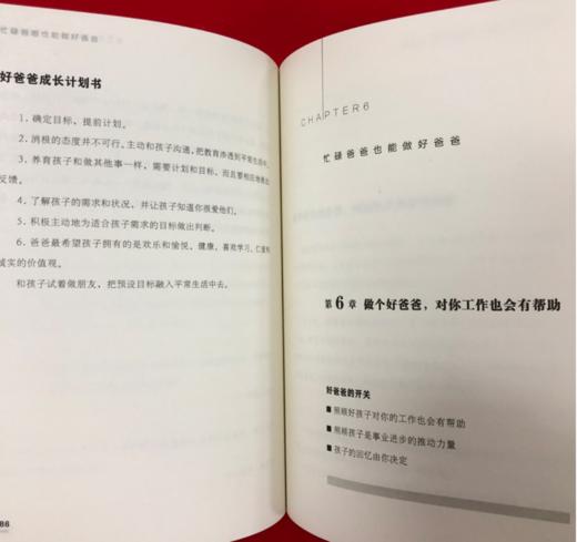 《忙碌爸爸也能做好爸爸》 商品图2