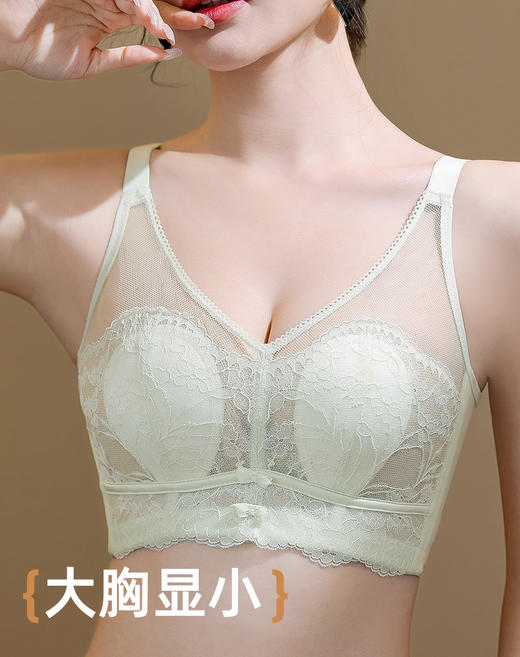 雅黛俪春夏文胸新款轻薄大胸显小性感蕾丝透气胸罩收副乳防下垂内衣 商品图1