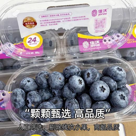 佳沃鲜枝莓24+ 商品图3