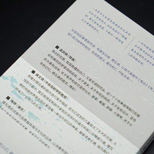 海边：瓦日迪·穆瓦德剧作集 （守望者·戏剧） 商品图6