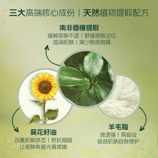 【南非国宝品牌】INGRAM'S英格莱恩小绿膏南非乳霜保湿修护脚后跟干裂乳霜 商品图3