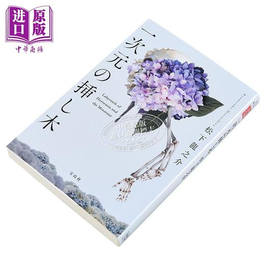 预售 【中商原版】绣球花之下 一次元插枝 第23届这本推理小说真厉害大奖获奖作 松下龙之介 日文原版日韩 一次元の挿し木 商品图3
