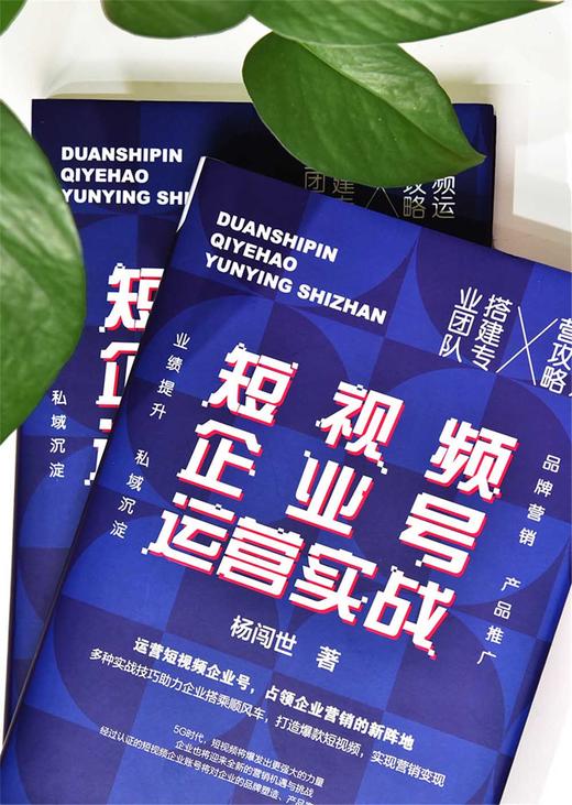 短视频企业号运营实战：运营短视频企业号，占领企业营销的新阵地（精装典藏版） 商品图6