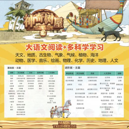 《神奇树屋·故事系列·基础版》全32册+《神奇树屋.故事系列·进阶版》全28册 5-12岁 60次古今冒险 60个知识主题，大语文阅读+多学科学习，读冒险故事 懂天下故事 商品图1