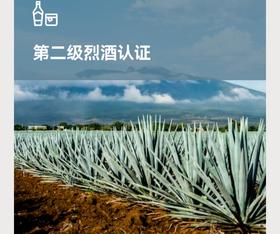 上海︱WSET第二级烈酒认证 Level 2 Award in Spirits