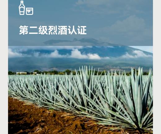 上海︱WSET第二级烈酒认证 Level 2 Award in Spirits 商品图0