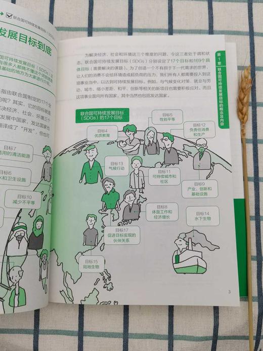 零基础 可持续发展笔记 商品图4