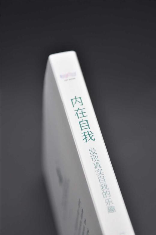 内在自我：发现真实自我的乐趣 商品图3