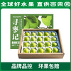 PAGODA百果园 牛奶青枣20粒礼盒装（单果重≥80g） 商品缩略图3