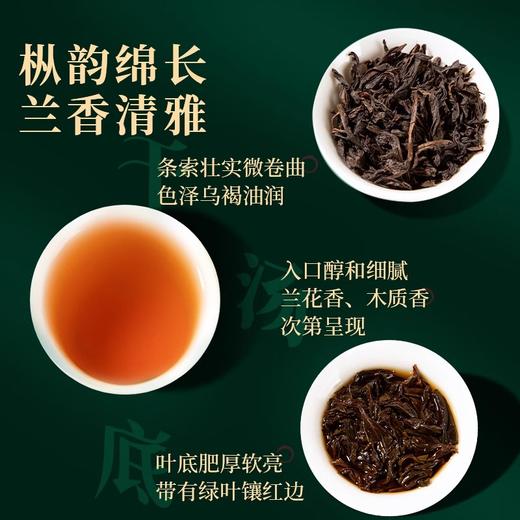 正山堂岩语 百野老枞水仙 武夷岩茶特级茶叶正宗中火乌龙茶品鉴装8g 商品图1