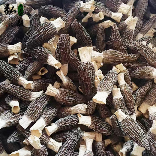 【弘毅六不用生态农场】六不用 羊肚菌 商品图3