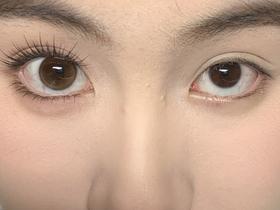 wecute半年抛美瞳 栗子咖 14.2mm