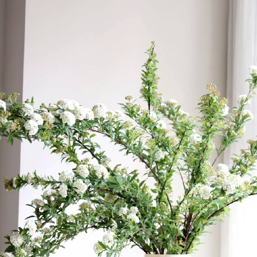 预售11号到货 小手球 一扎5支 支长90厘米