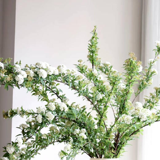 预售11号到货 小手球 一扎5支 支长90厘米 商品图0