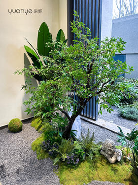 高仿真植物造景定制设计/商场家居多场景生态景观搭建+一站式安装（具体价格可咨询商家）