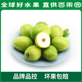 PAGODA百果园 牛奶青枣30粒彩箱装（单果重≥50g）