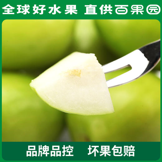 PAGODA百果园 牛奶青枣30粒彩箱装（单果重≥50g） 商品图1