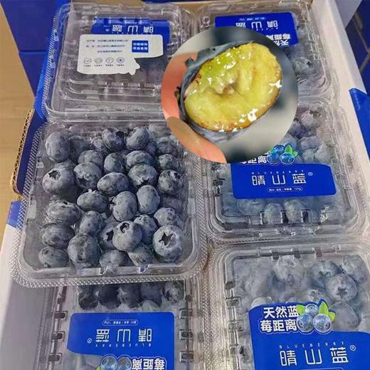 晴山蓝莓 商品图1