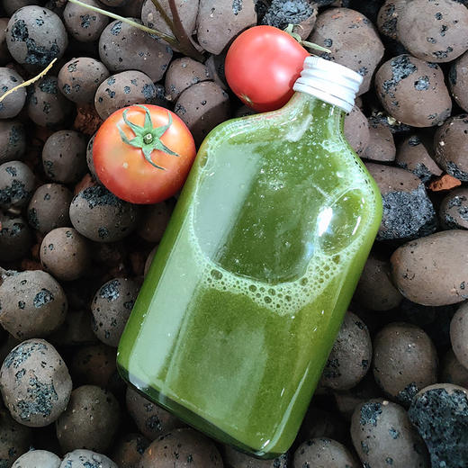 【榨汁推荐】云南良道有机西芹 枝干粗壮粗纤维少更适合榨汁顺丰包邮 商品图4