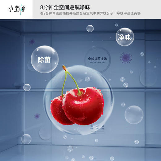 400升 超薄法式多门冰箱 BCD-400WPEG7S 商品图4