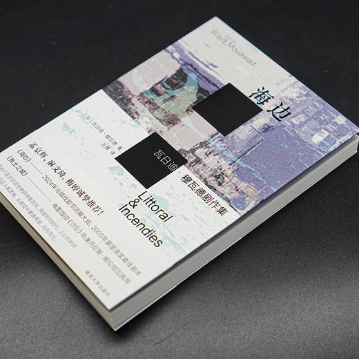 海边：瓦日迪·穆瓦德剧作集 （守望者·戏剧） 商品图2