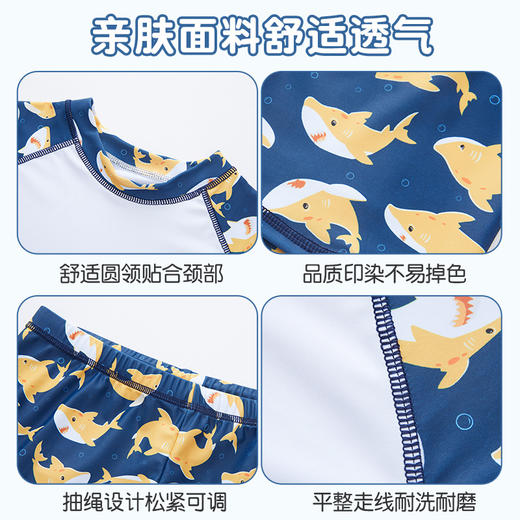 儿童泳衣卡通海豚印花泳衣分体款男童中大童泳衣套装宝宝泳衣XL-6XL 商品图2