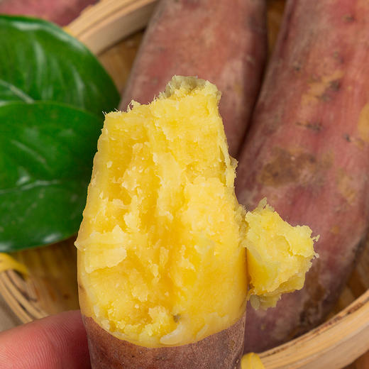 海南小香薯,“薯”于你的美味，肉质细腻，现挖现发，粉糯香甜，应季新鲜红薯，皮薄如纸，小巧高颜值 商品图4