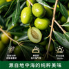 【大瓶辅食油 双瓶任选】碧欧奇家庭装辅食油250ml初榨特级橄榄油核桃油牛油果油亚麻籽油 商品缩略图2