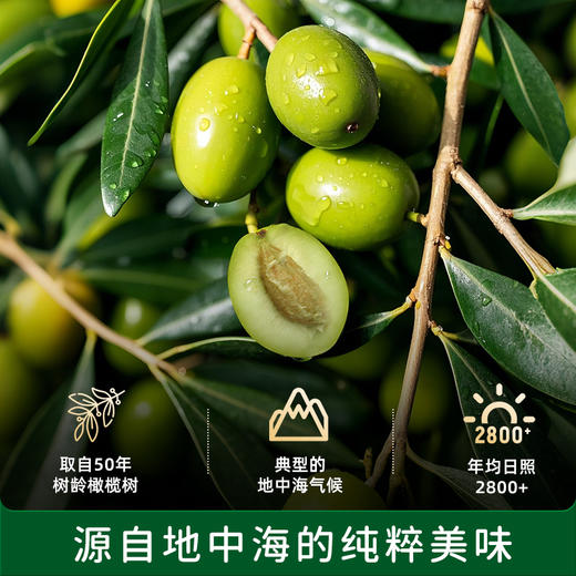 【大瓶辅食油 双瓶任选】碧欧奇家庭装辅食油250ml初榨特级橄榄油核桃油牛油果油亚麻籽油 商品图2