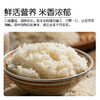 *物元农场双有机胚芽米新米东北粳米熬米油米汤杂粮粥饭胚芽粗粮|新米|全胚芽粳米 商品缩略图1